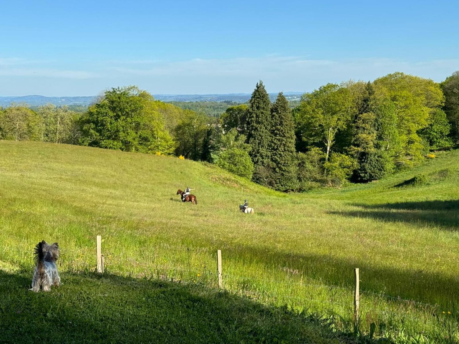 Domaine de Montmery. La ferme de Gaston Ambazac Extérieur photo